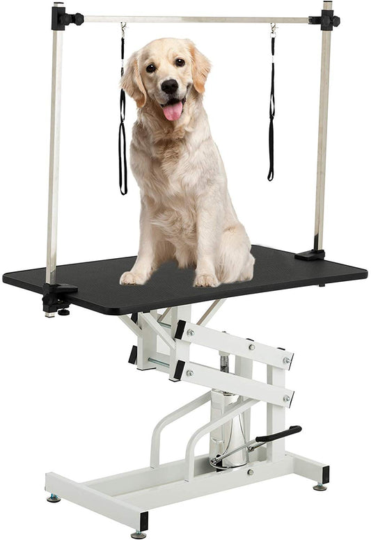 Golden Retriever sits on a white hydraulic grooming table with adjustable arm and restraints