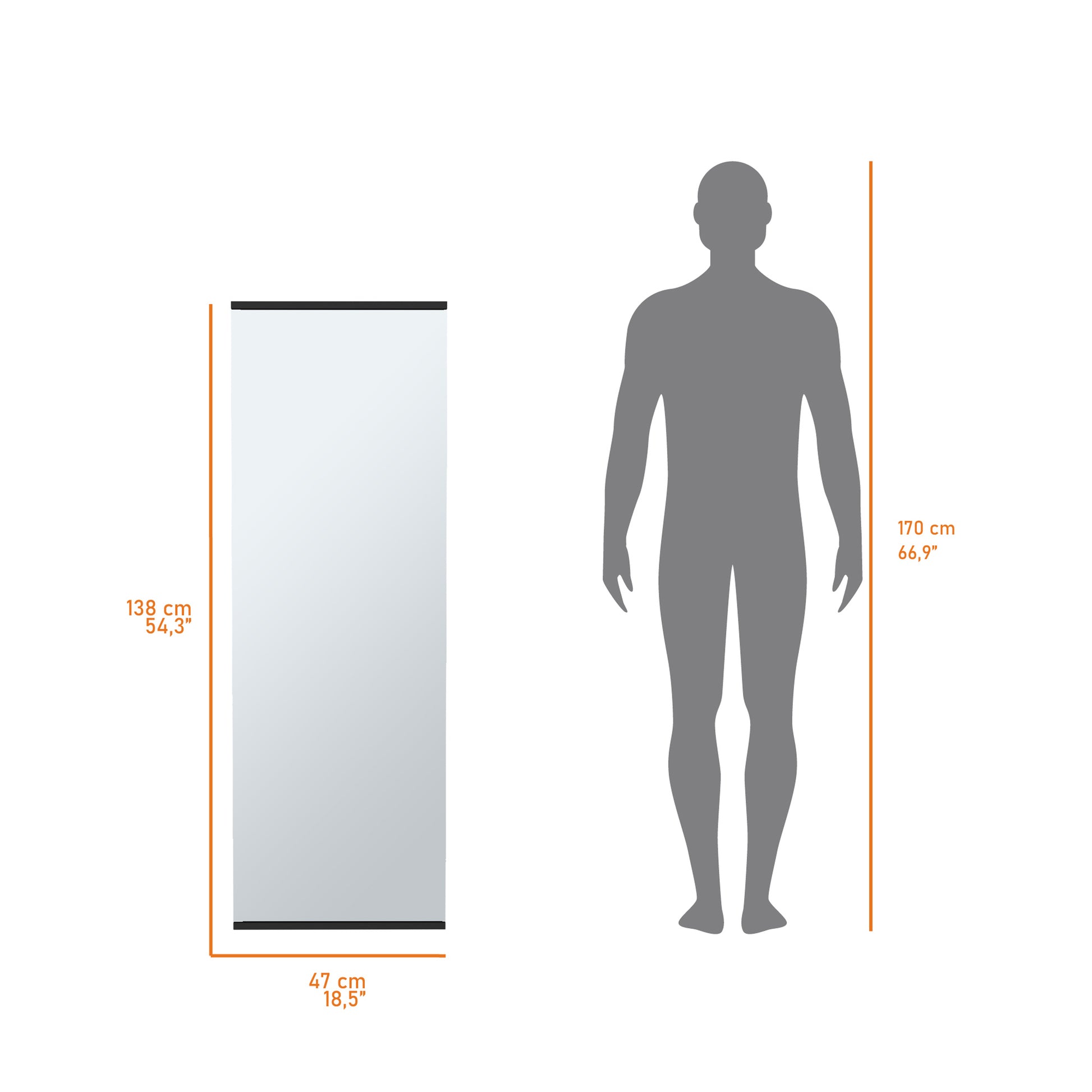Tall frameless mirror cm height cm width shown with human scale for size reference