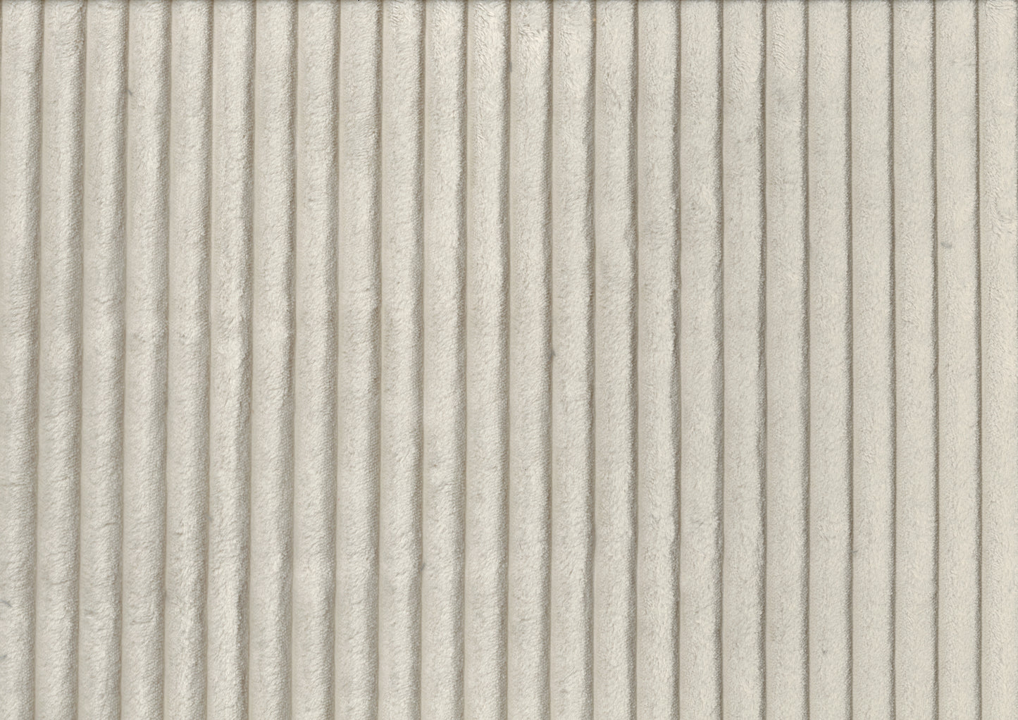 Creamy beige wide wale corduroy fabric texture closeup