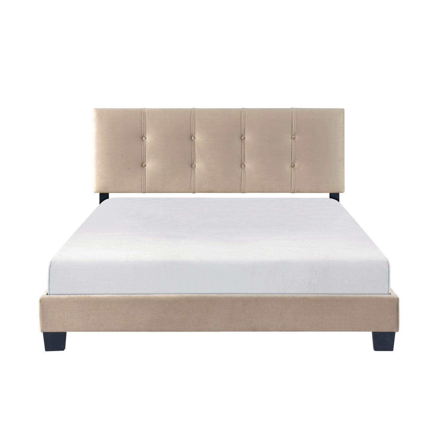 Tufted beige velvet upholstered bed frame with a low profile suitable for modern bedrooms