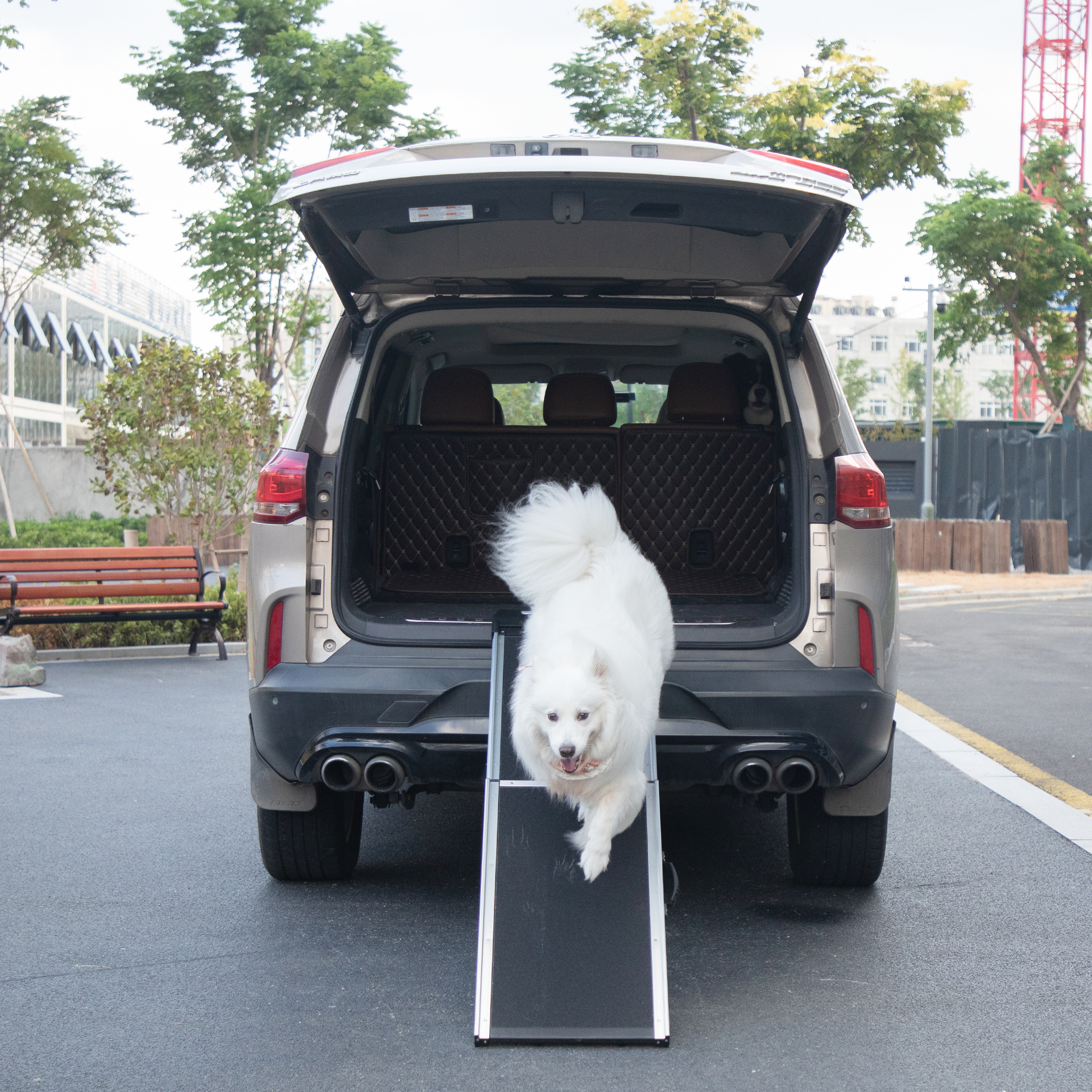 White fluffy dog walks down a portable pet ramp towards a car trunk aiding pet travel
