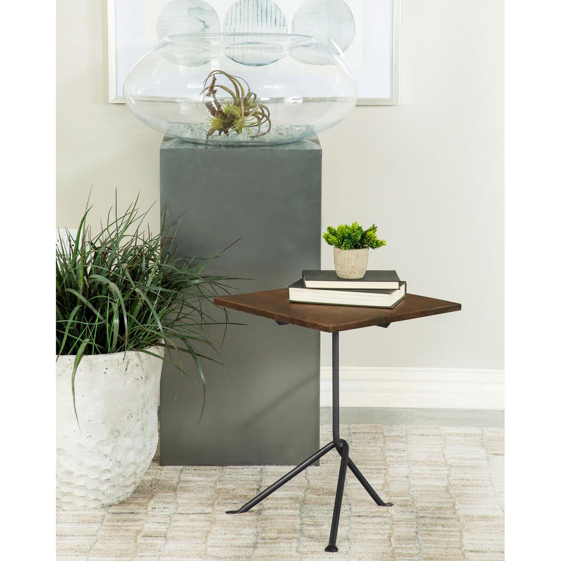 Glass terrarium with air plant on modern pedestal base