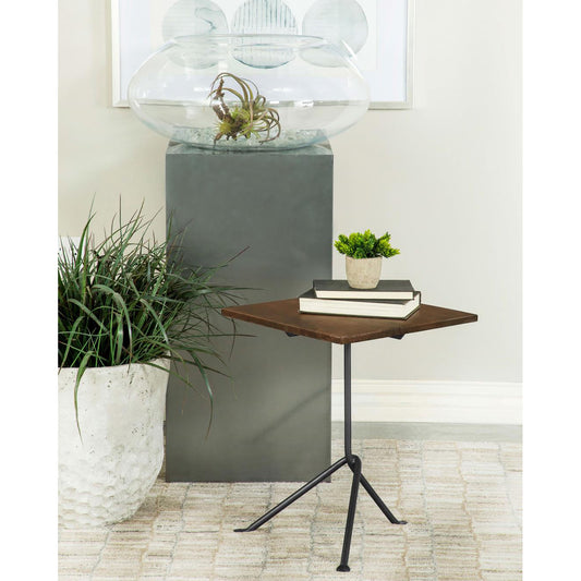 Glass terrarium with air plant on modern pedestal base