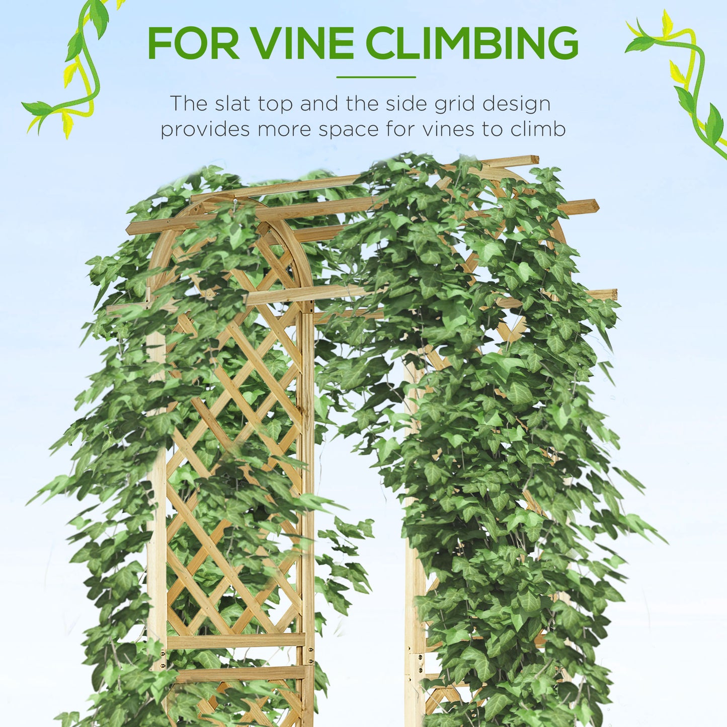 Wooden garden arch trellis covered in lush green ivy ideal for climbing plants