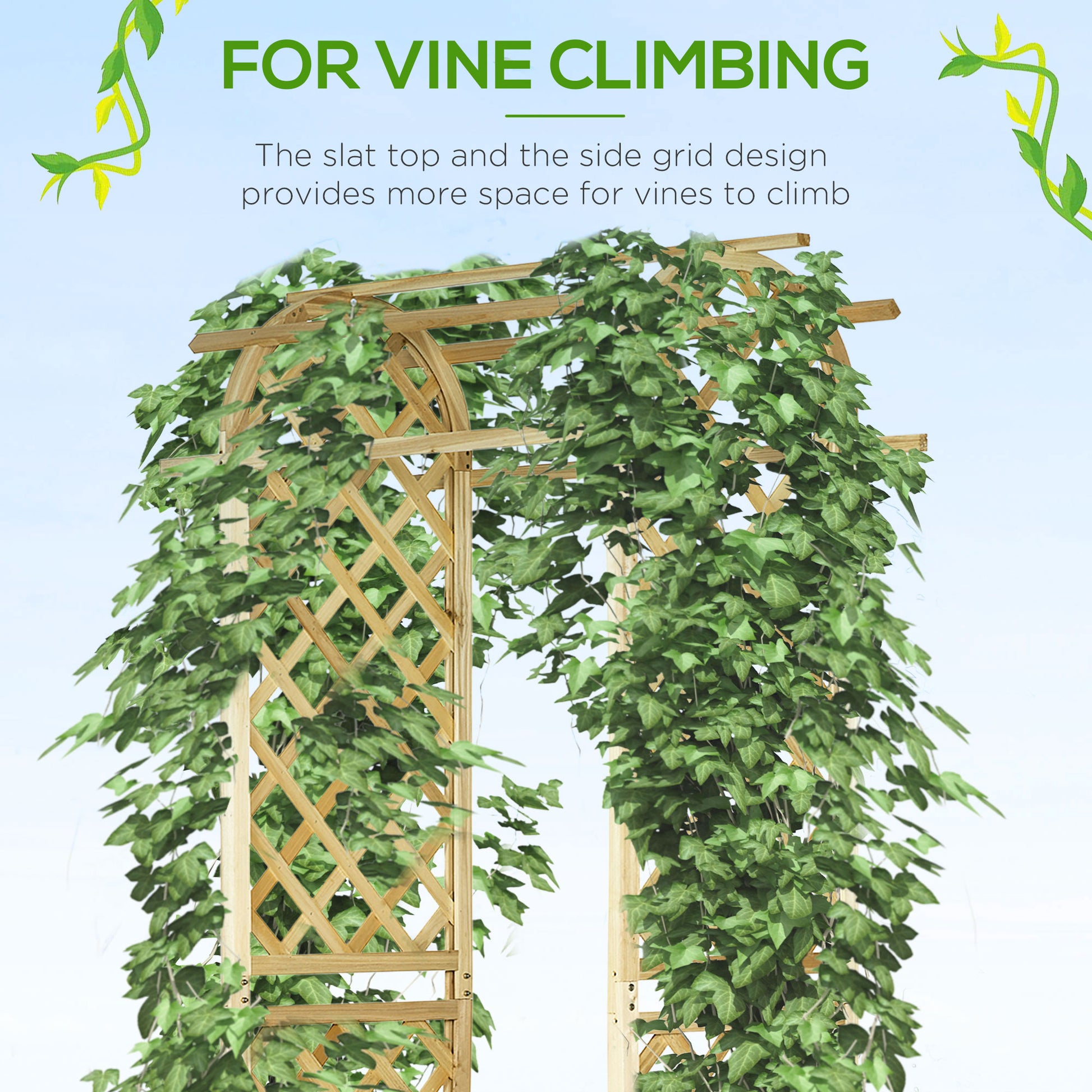 Wooden garden arch trellis covered in lush green ivy ideal for climbing plants
