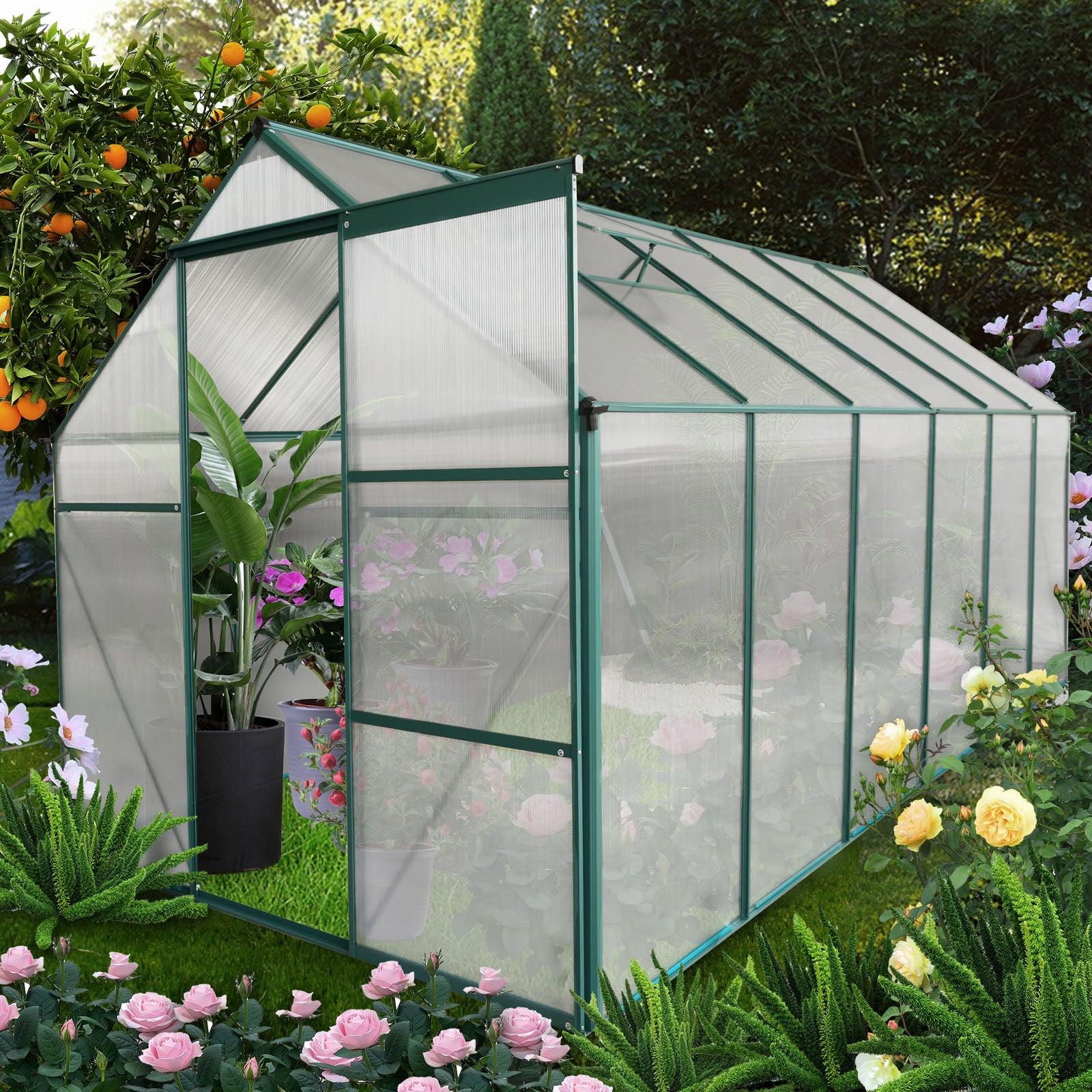 Green metal frame greenhouse with clear polycarbonate panels ideal for home gardening