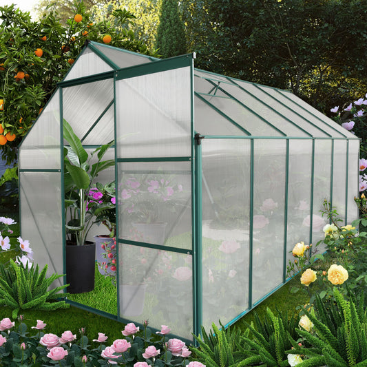 Green metal frame greenhouse with clear polycarbonate panels ideal for home gardening