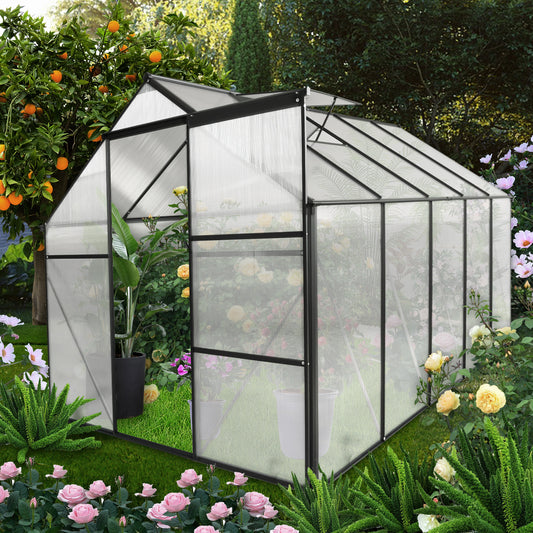 Clear polycarbonate panel greenhouse with black aluminum frame ideal for growing plants