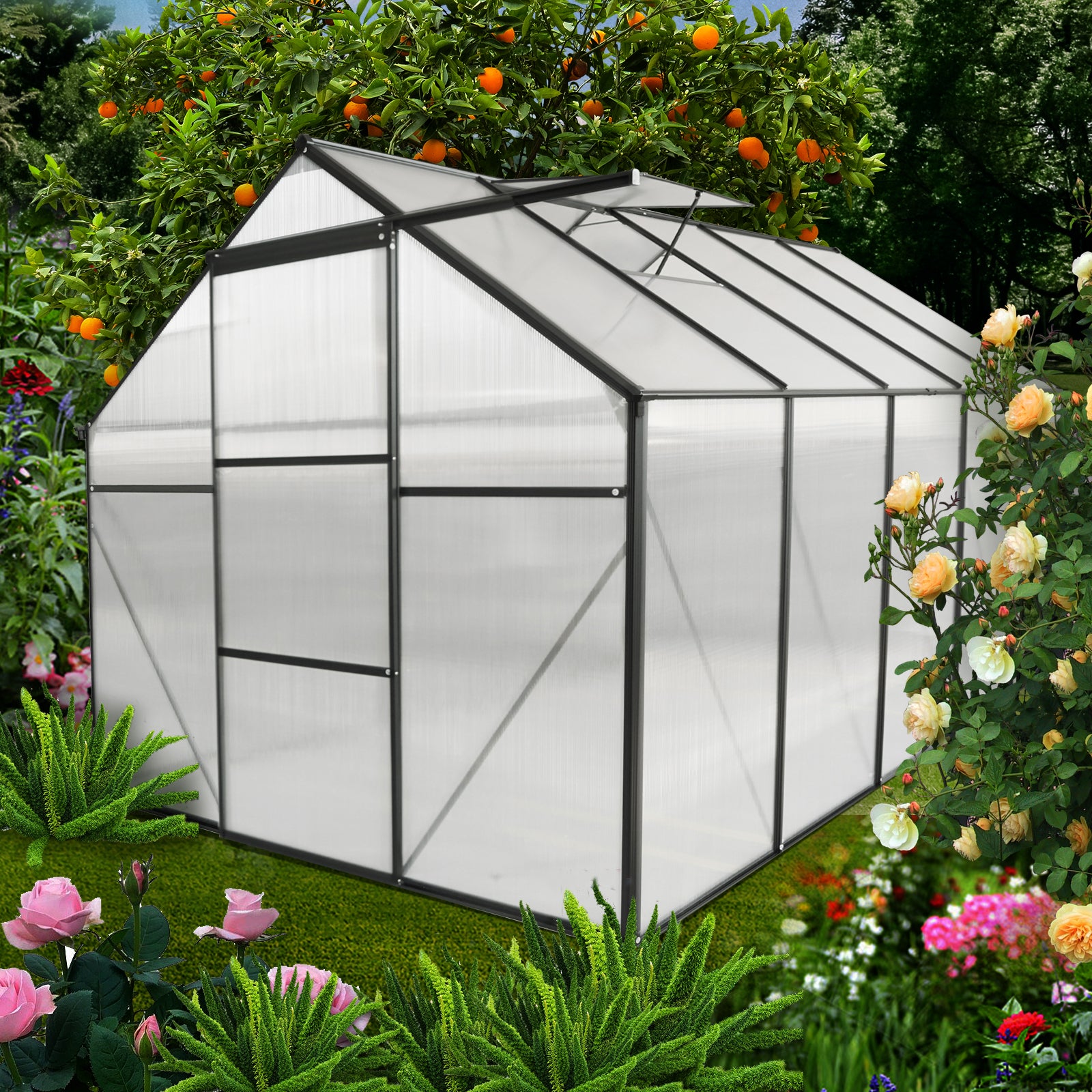 Large polycarbonate greenhouse with black frame ideal for yearround gardening and plant cultivation