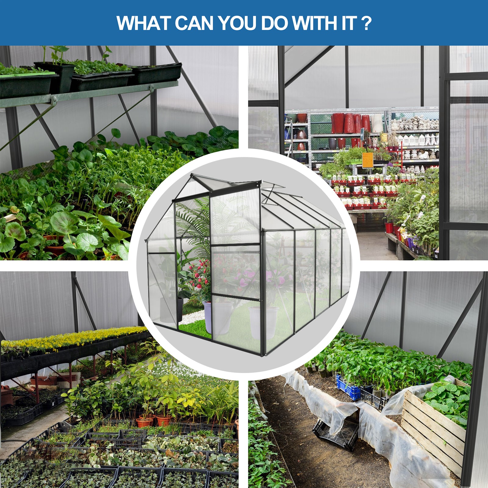 Black frame polycarbonate greenhouse with lush green plants and flowering species inside