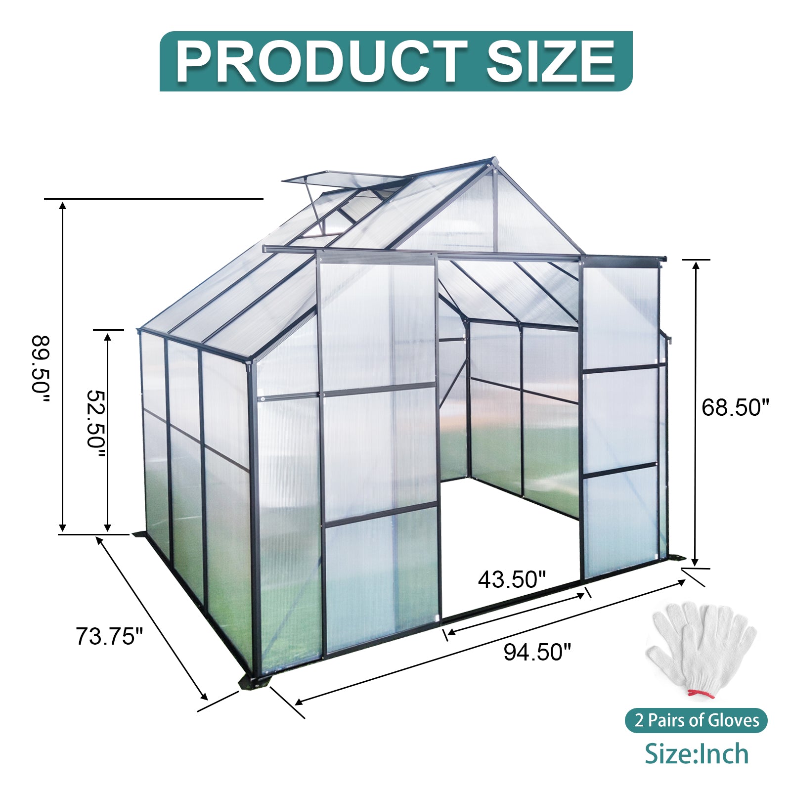 Clear polycarbonate greenhouse with silver frame dimensions indicated