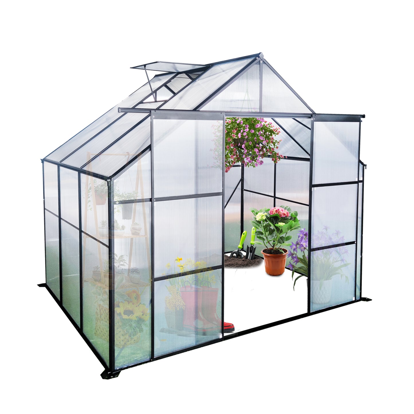 Clear polycarbonate panel greenhouse with black aluminum frame open door and plants inside