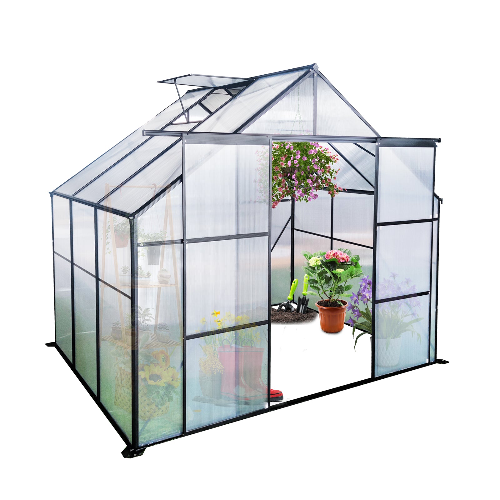 Clear polycarbonate panel greenhouse with black aluminum frame open door and plants inside