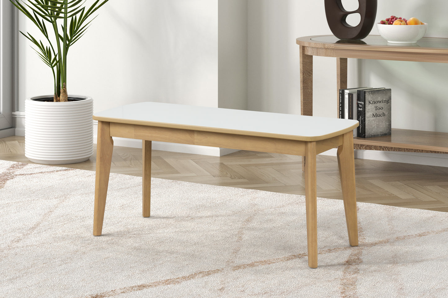 Modern white top and wood bench