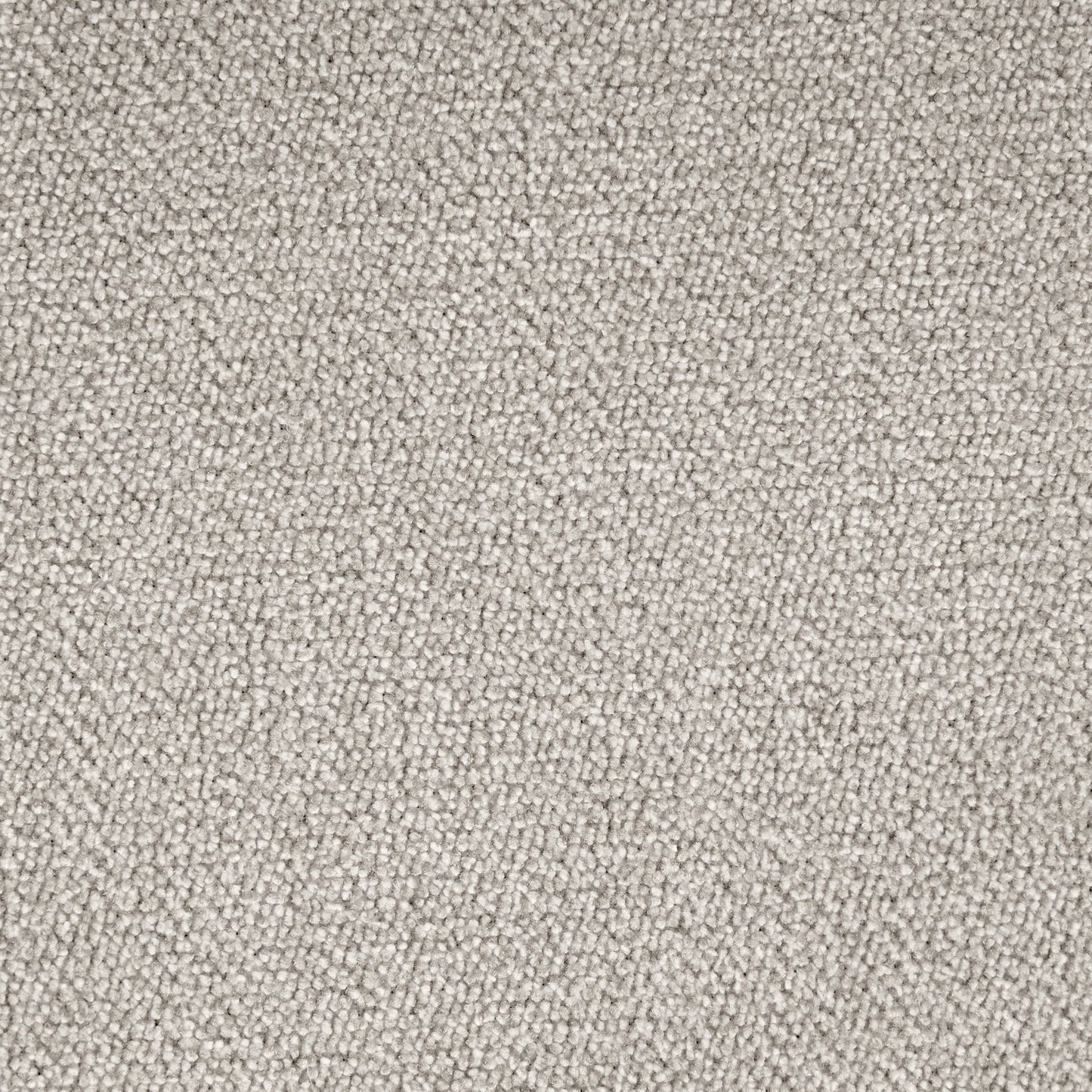 Closeup texture of light grey loop pile carpet