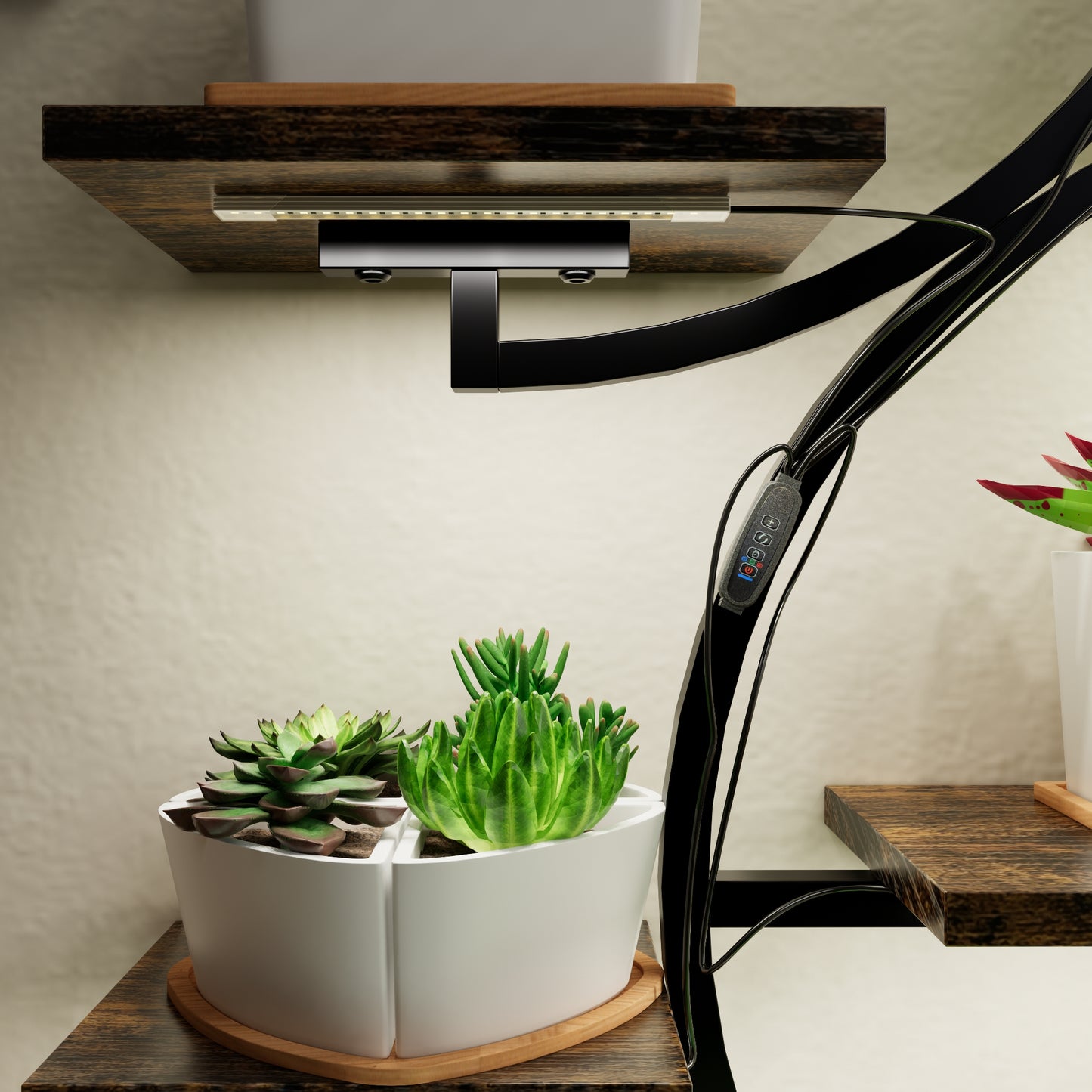White multisection planter with succulents and integrated LED grow light