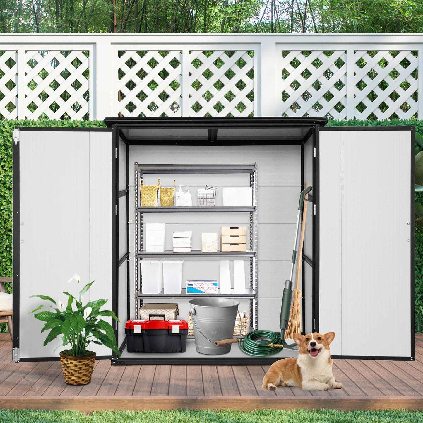 Outdoor storage shed with metal shelves holding cleaning supplies and a toolset