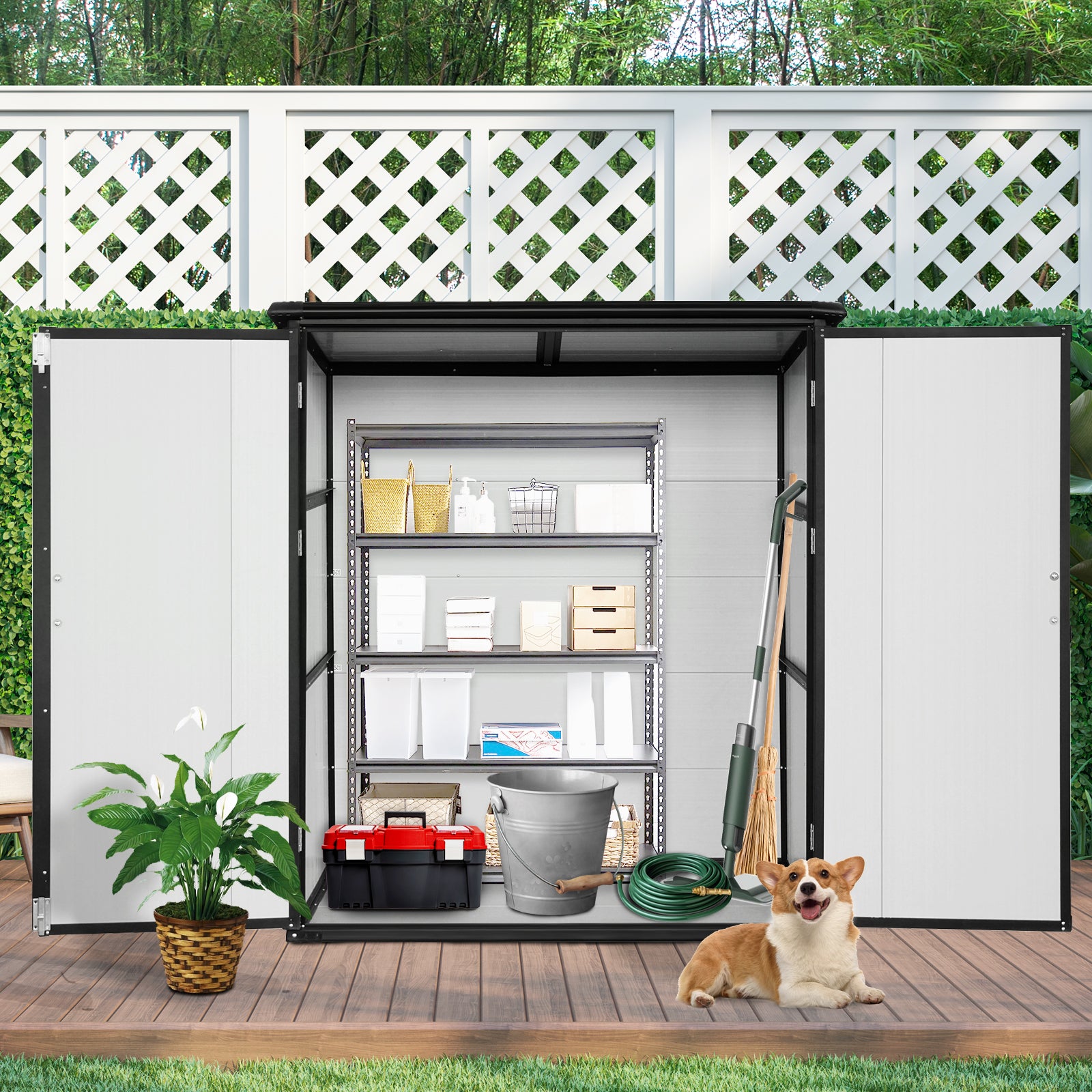 Outdoor storage shed with metal shelves holding cleaning supplies and a toolset