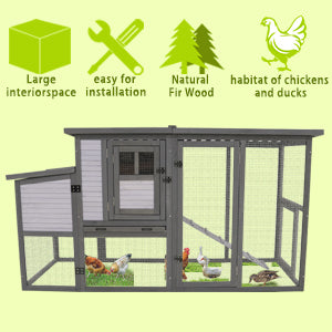 Wooden chicken coop with large interior space for chickens and ducks