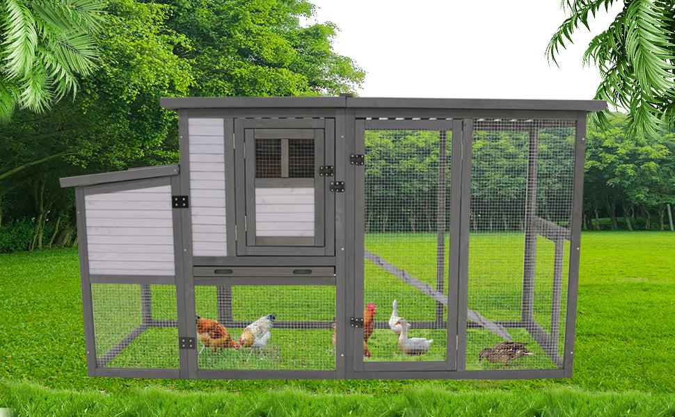 Spacious gray wood chicken coop with attached run and multiple birds inside