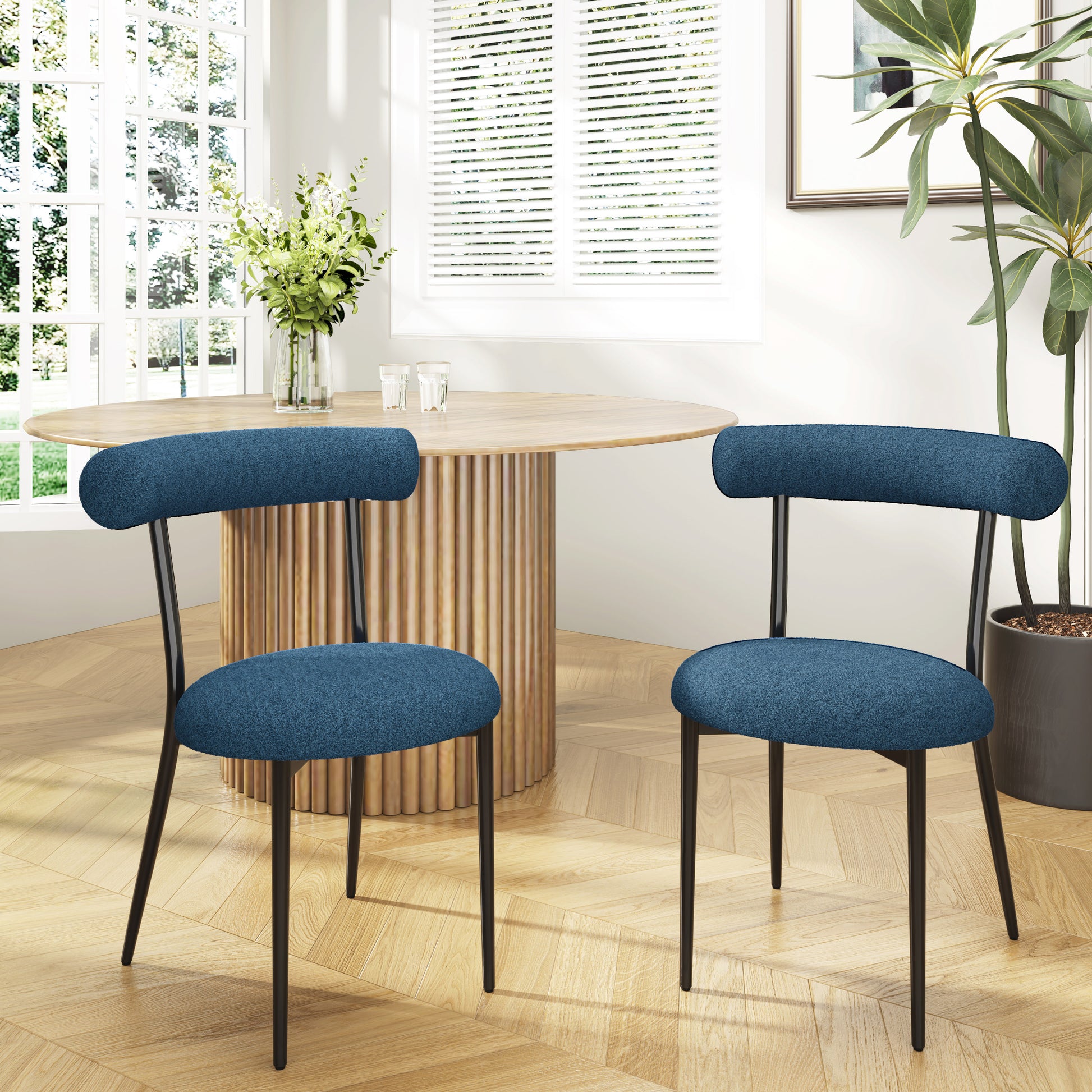Two upholstered dining chairs in navy blue boucle fabric with black metal legs
