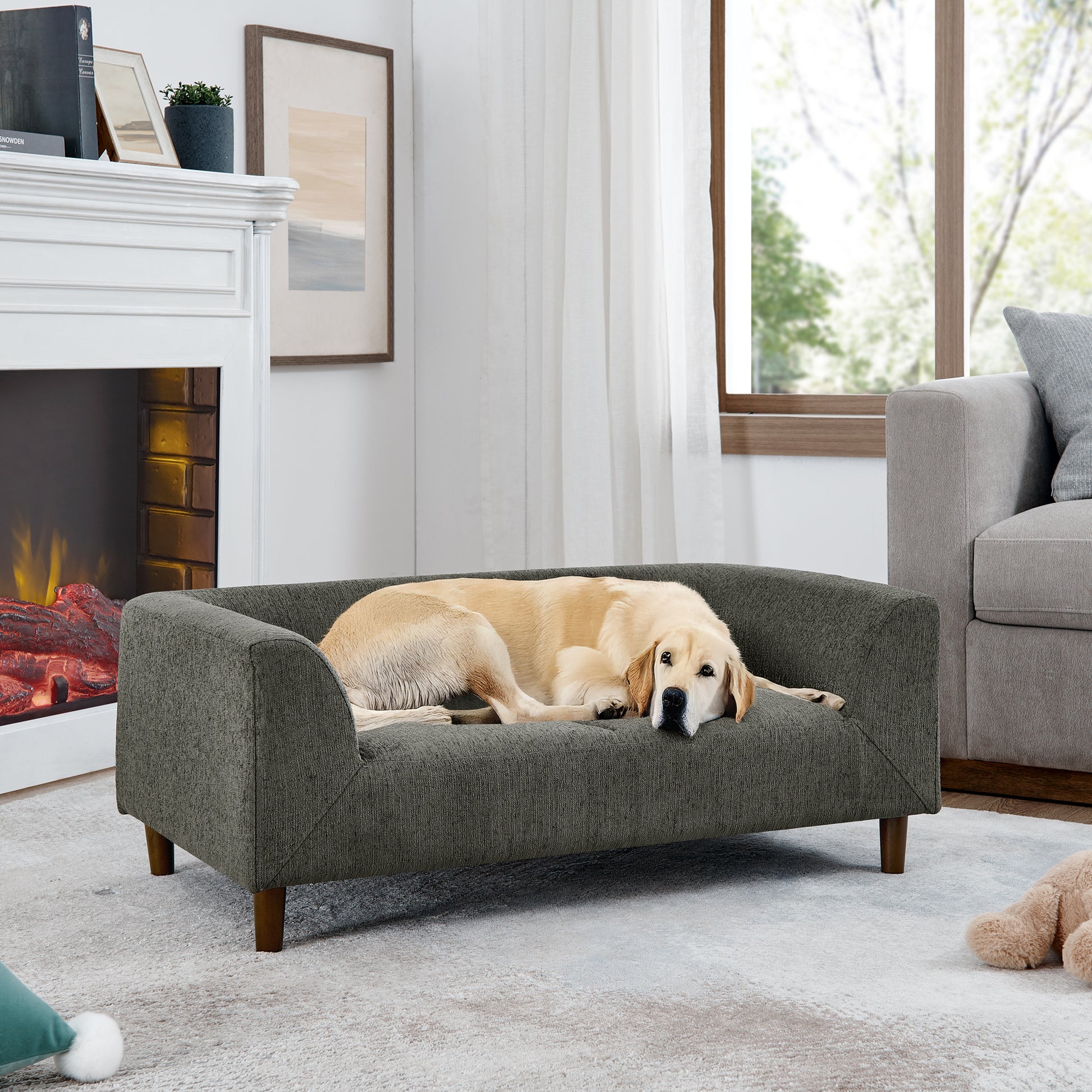 A golden retriever dog rests on a dark grey upholstered dog sofa with wooden legs