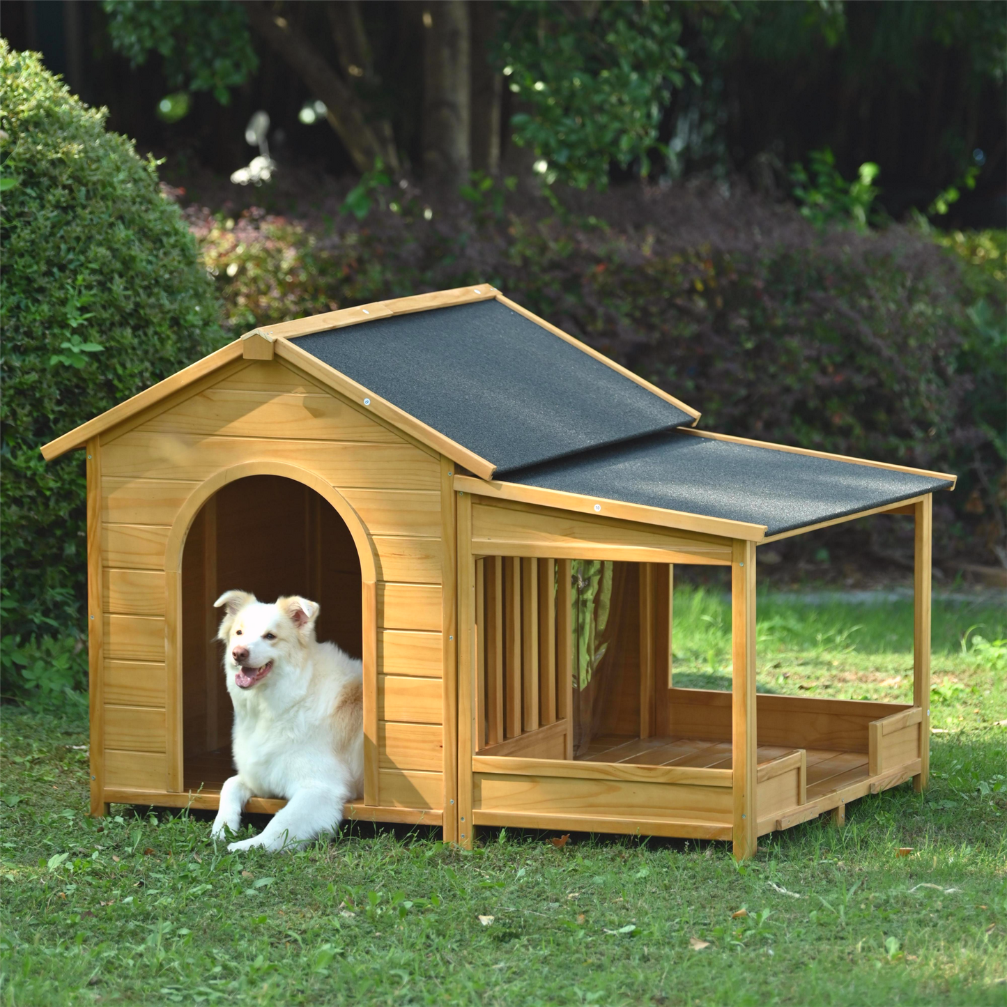 Wooden dog house with a covered porch and an openair section featuring a white dog resting inside