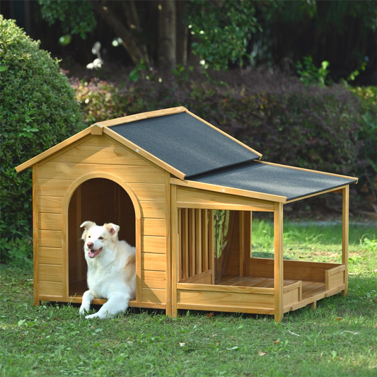 Wooden dog house with a covered porch and an openair section featuring a white dog resting inside
