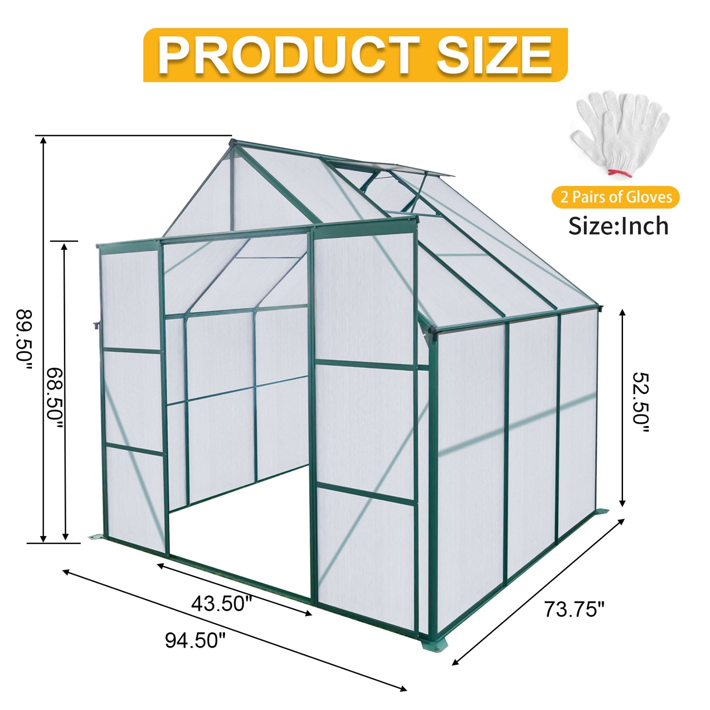 Green walkin greenhouse with clear polycarbonate panels and metal frame  L x  W x  H