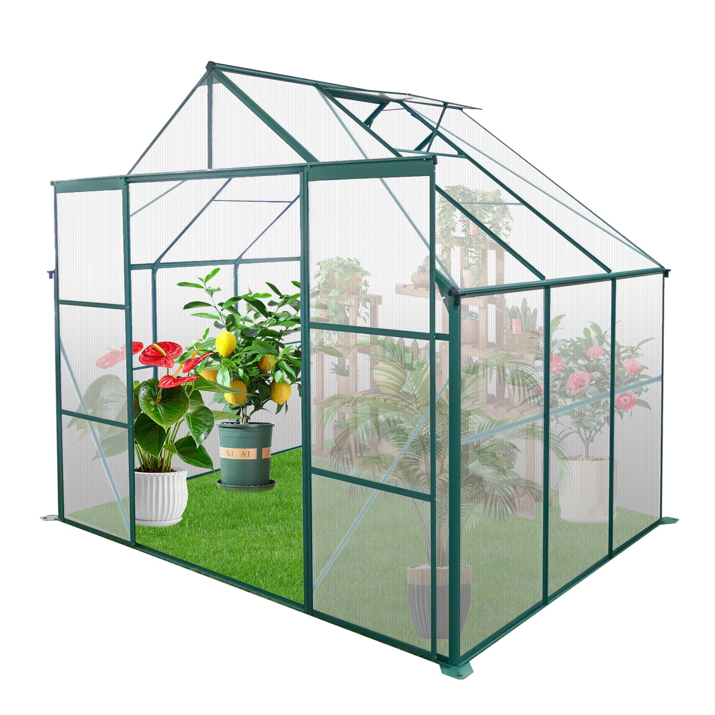 Green polycarbonate greenhouse with anthurium lemon tree and pink rose plants