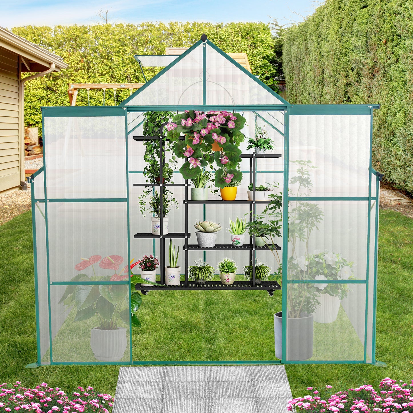 Greenhouse with tiered shelves displaying potted plants ideal for home gardening