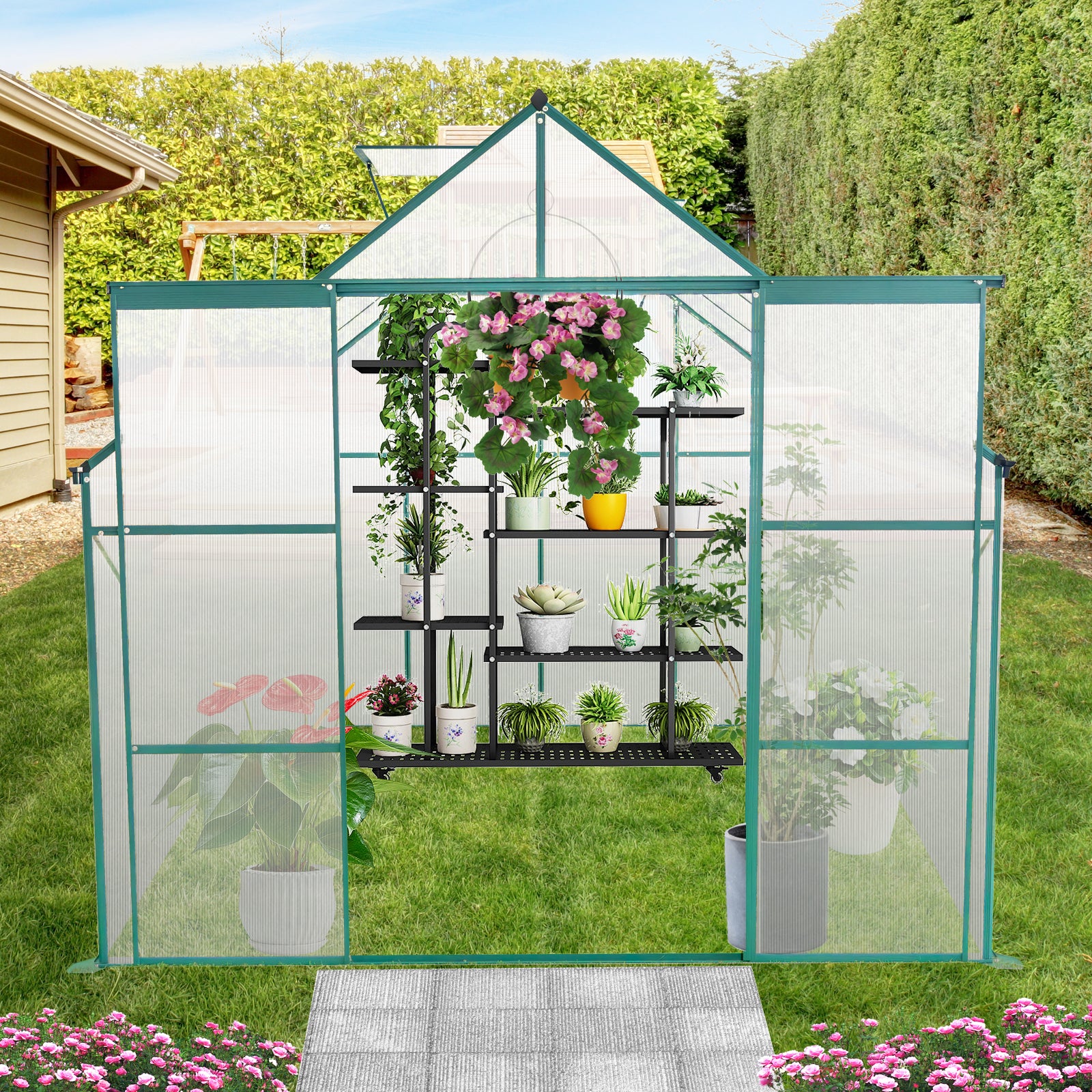 Greenhouse with tiered shelves displaying potted plants ideal for home gardening