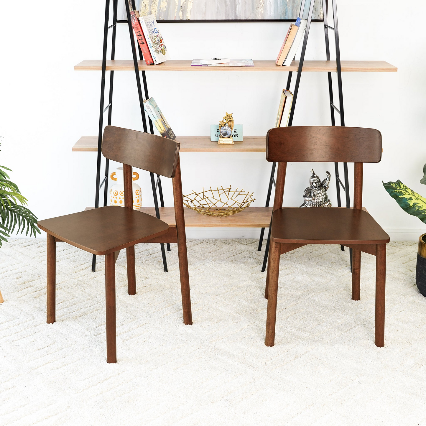 Two dark brown wood dining chairs with simple backrests in a minimalist home setting