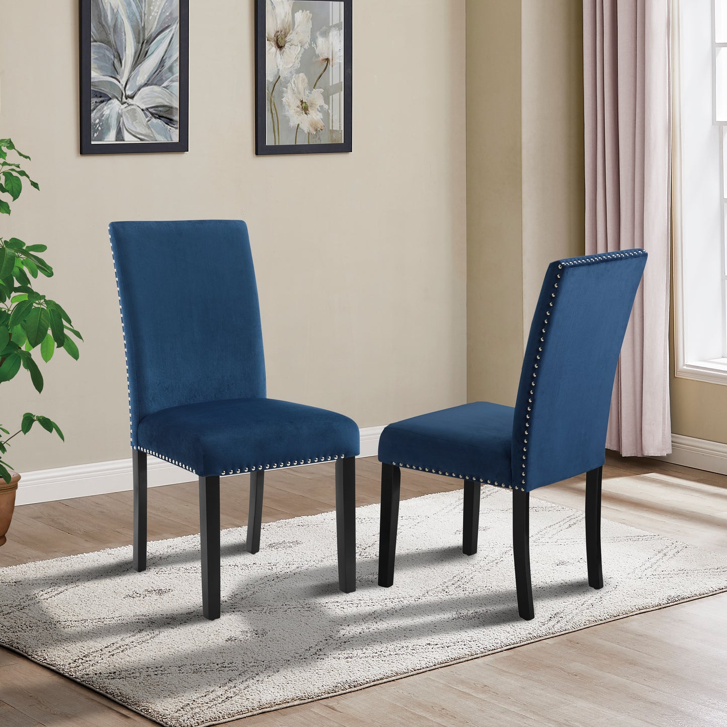 Two blue velvet dining chairs with silver nailhead trim and black legs on a rug
