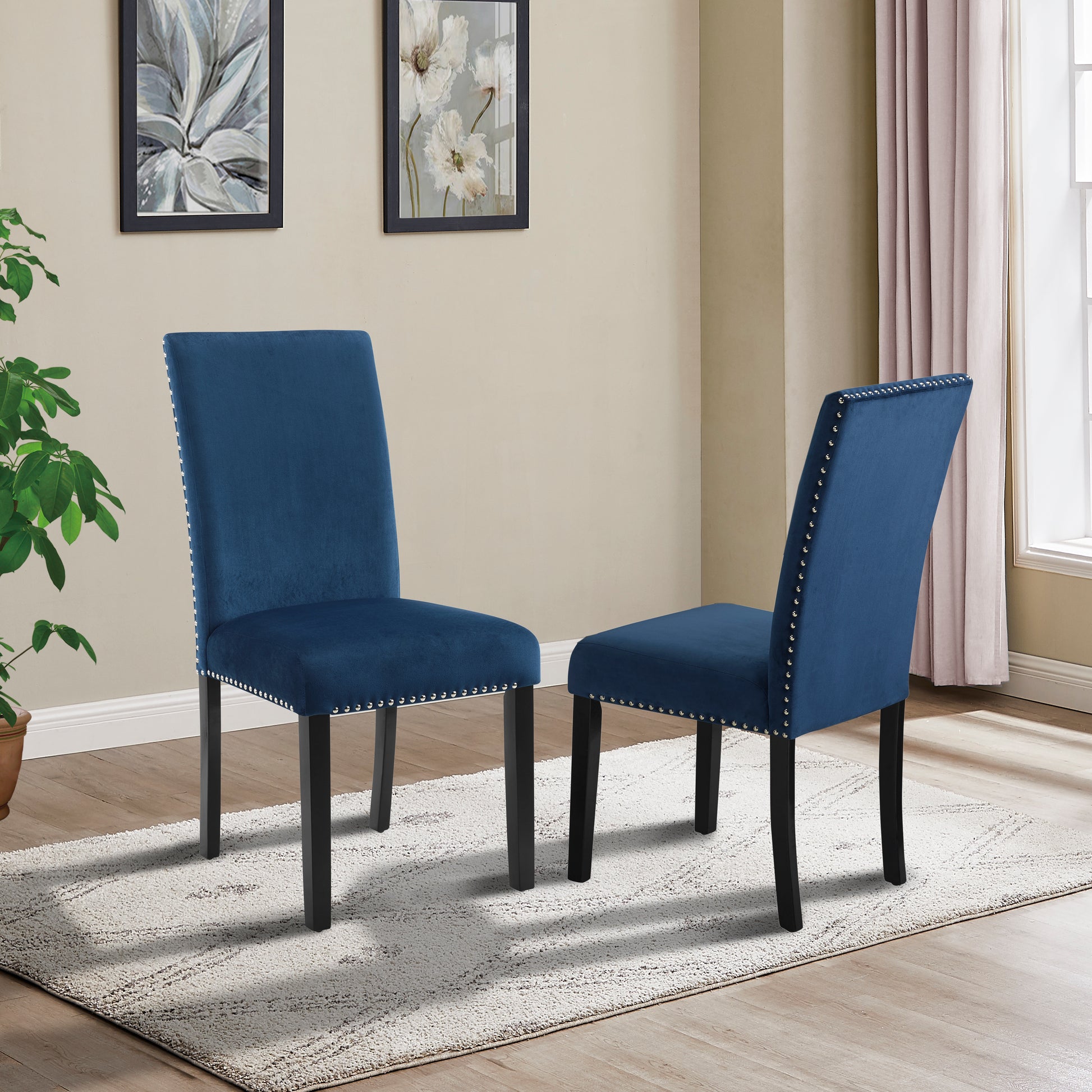 Two blue velvet dining chairs with silver nailhead trim and black legs on a rug