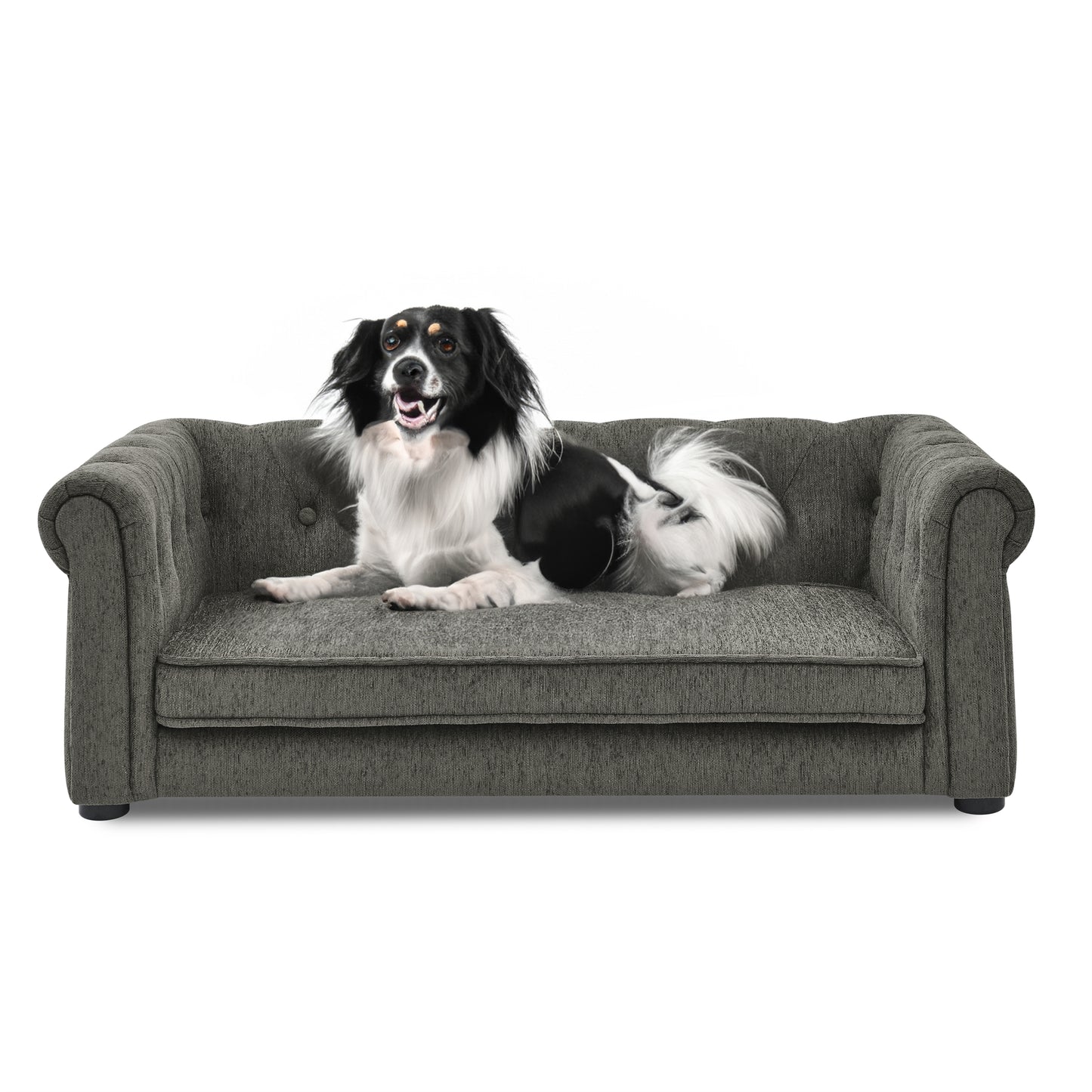 Black and white dog resting on a grey tufted dog sofa