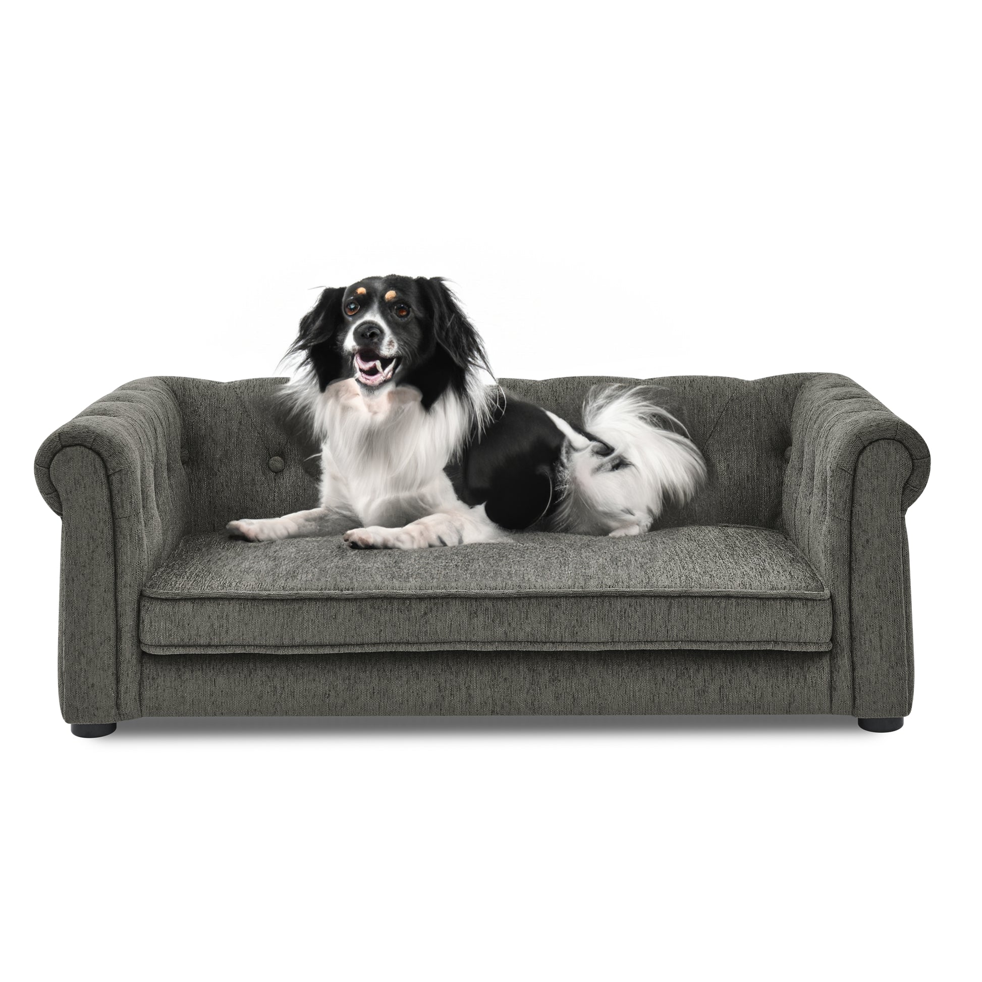 Black and white dog resting on a grey tufted dog sofa
