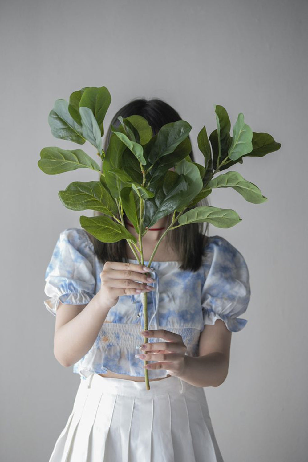 Realistic fiddle leaf fig plant stem with large green leaves perfect for home decor