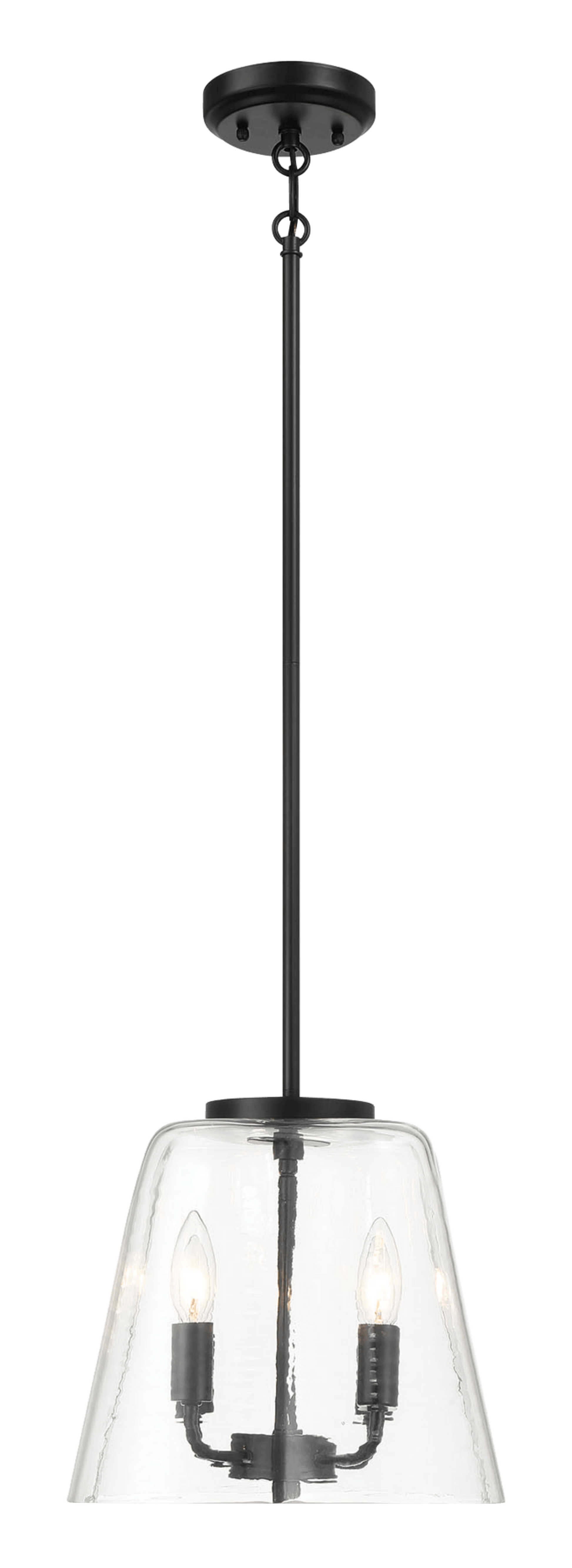 Black metal pendant light with clear seeded glass shade and two bulbs