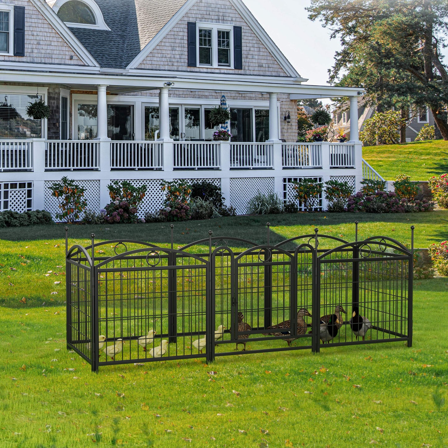 Black wrought iron outdoor dog fence with arched top protecting ducklings and ducks on grass