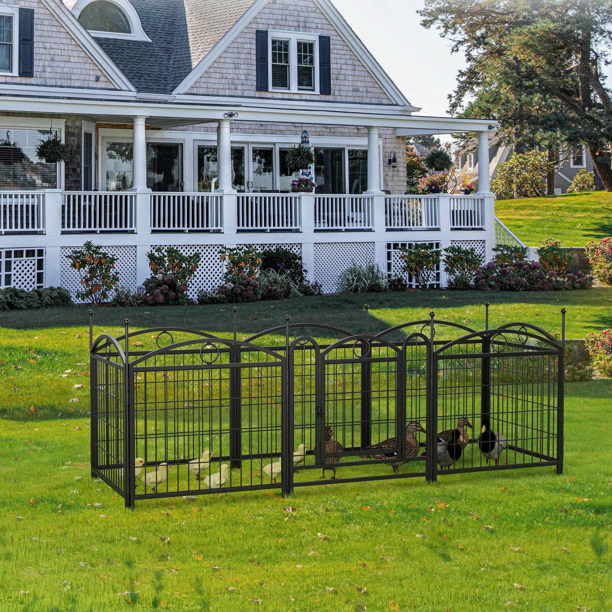 Black wrought iron outdoor dog fence with arched top protecting ducklings and ducks on grass
