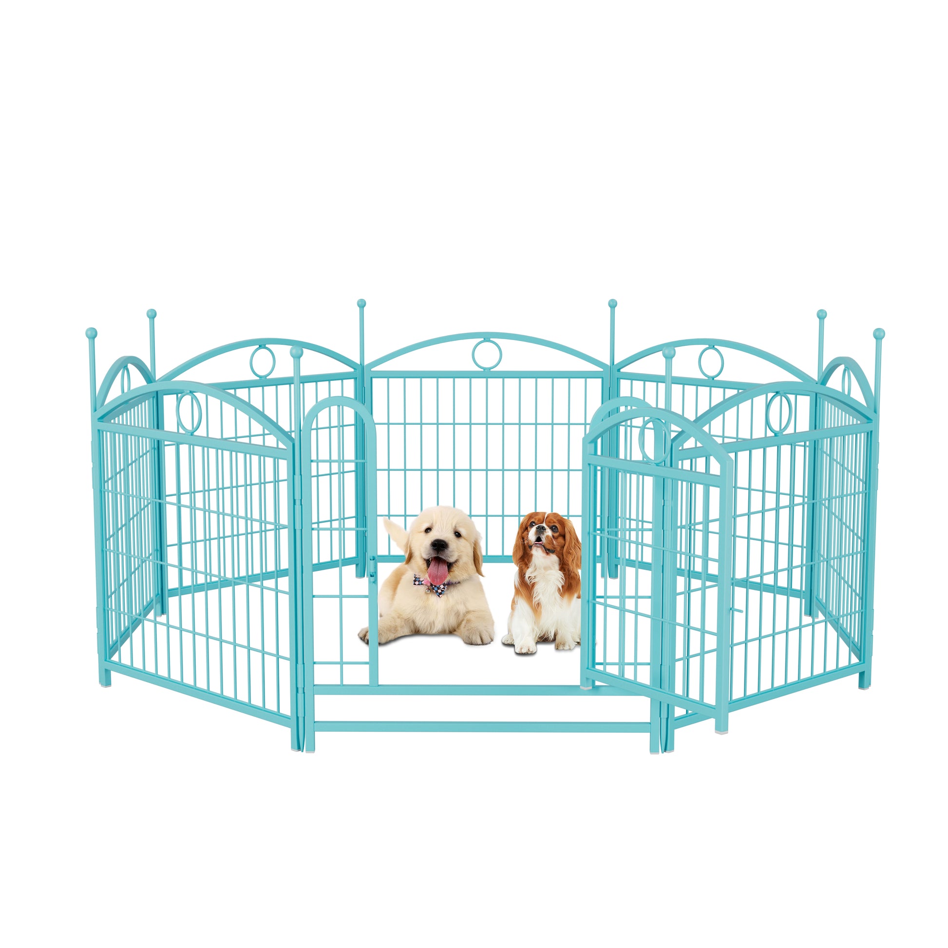 Turquoise metal dog playpen with ornate scrollwork and two puppies inside