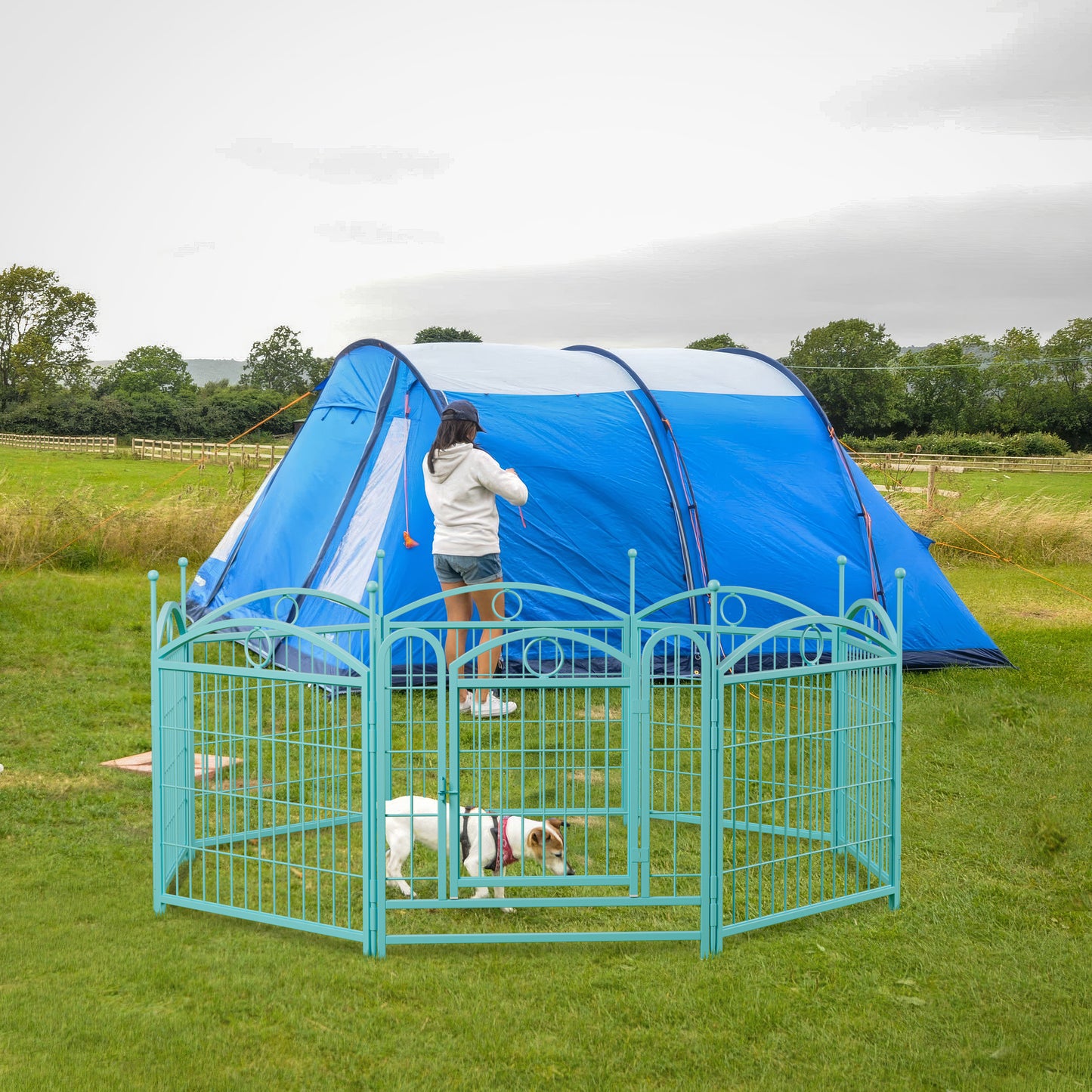 Teal metal pet playpen for outdoor use with a Jack Russell terrier inside and a blue tent in the background