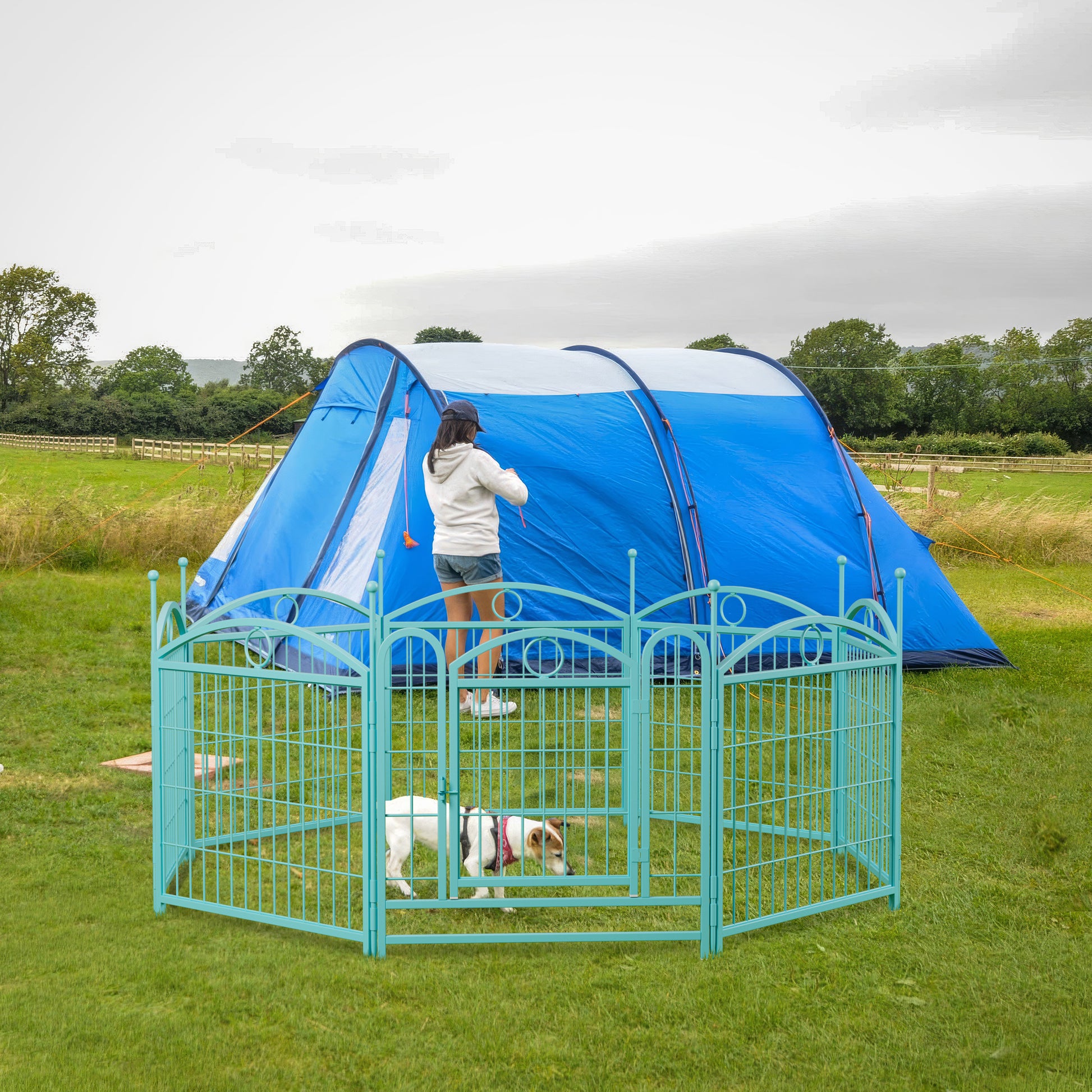 Teal metal pet playpen for outdoor use with a Jack Russell terrier inside and a blue tent in the background