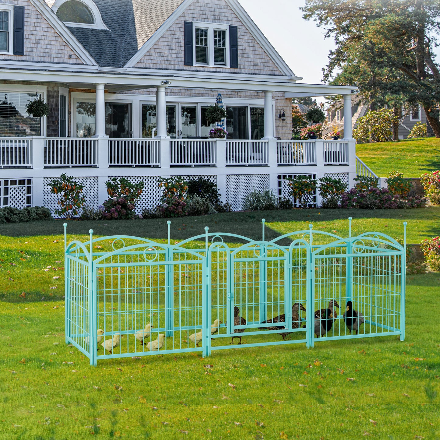 Turquoise metal backyard playpen for pets with chicks and ducks inside