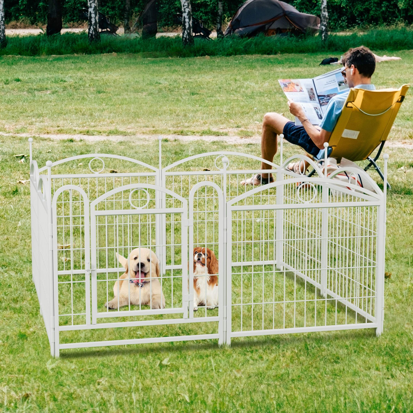 White metal dog playpen with two dogs a Golden Retriever and a Cavalier King Charles Spaniel