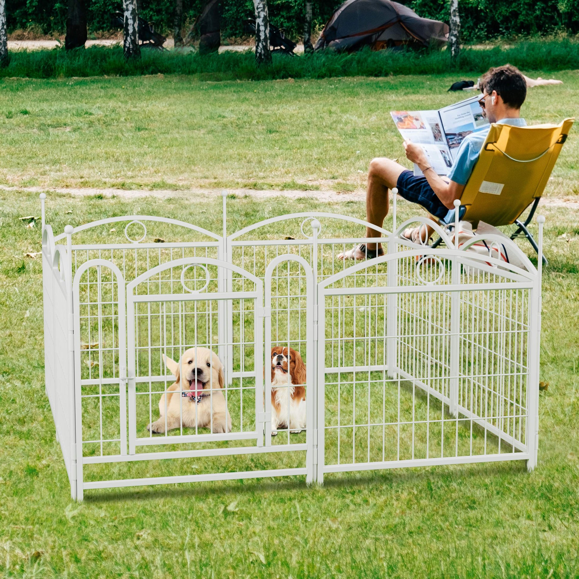 White metal dog playpen with two dogs a Golden Retriever and a Cavalier King Charles Spaniel