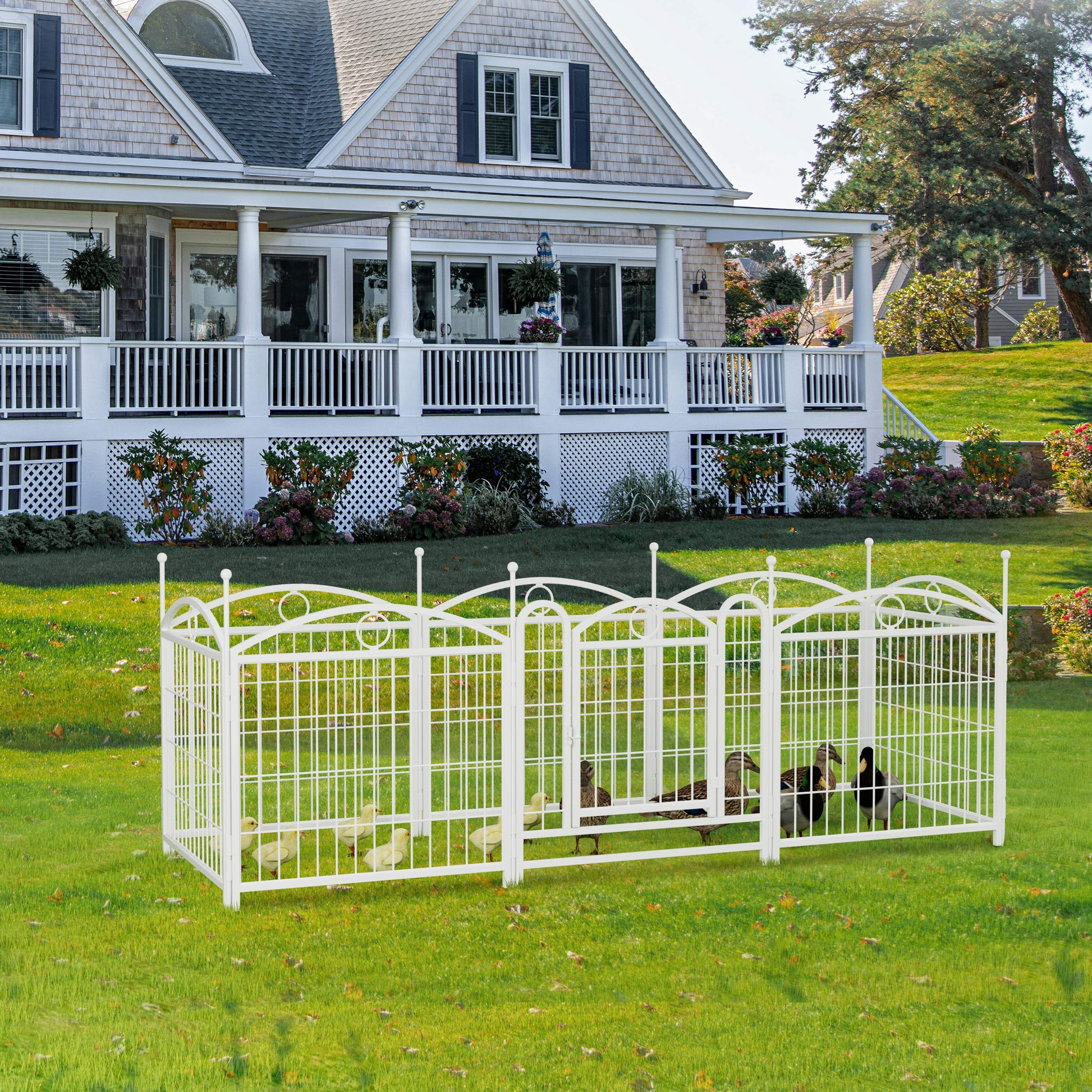 White metal garden fence enclosure with chicks and ducks on grassy lawn