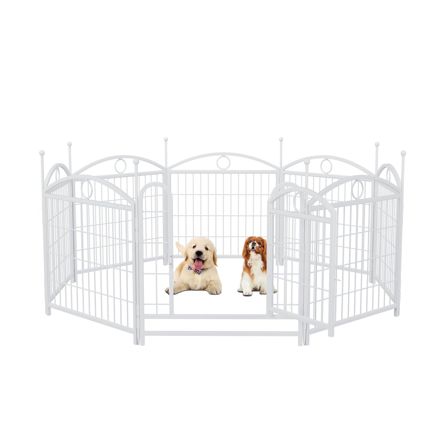 White metal puppy playpen with decorative finials housing two adorable puppies