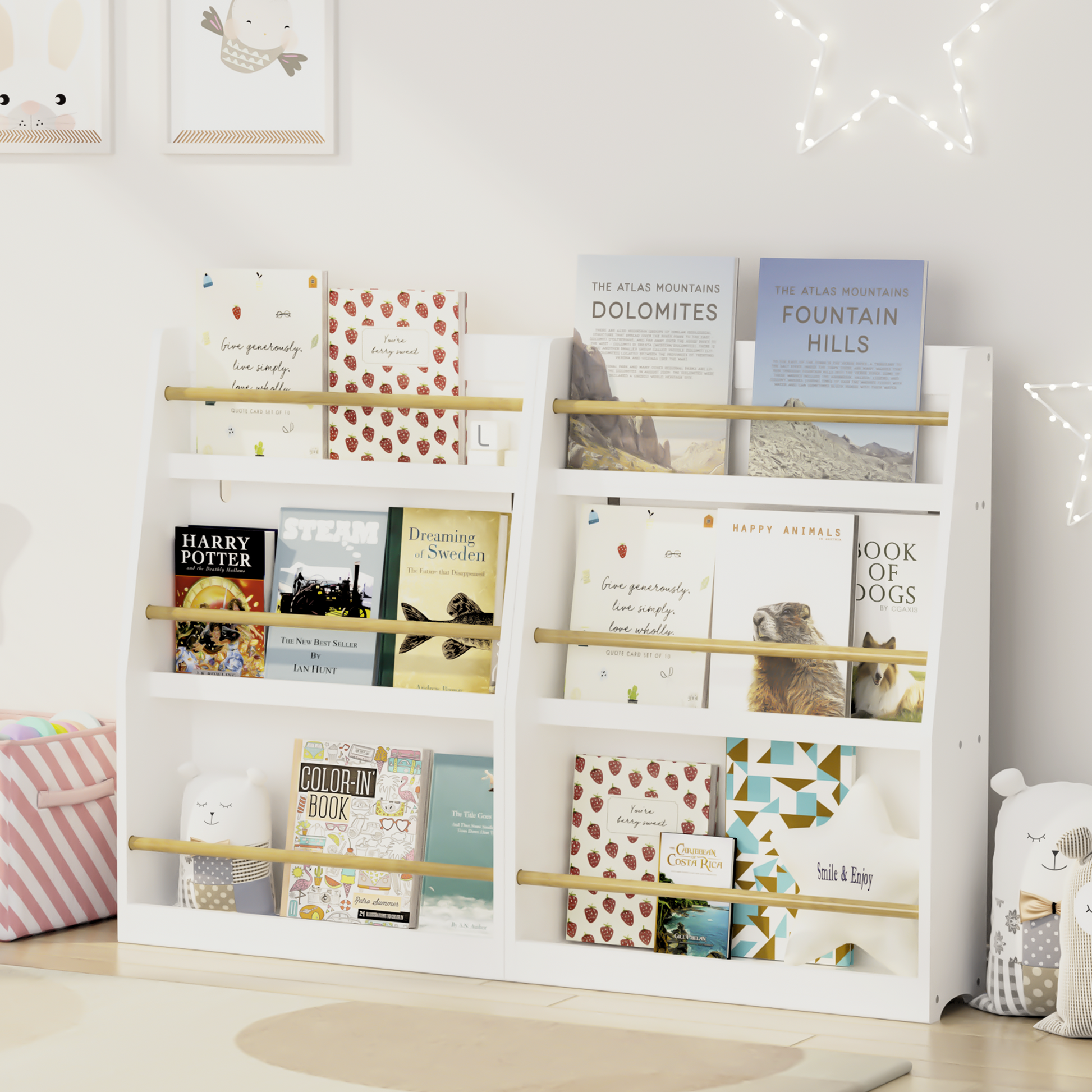 Childrens white bookshelf displaying Harry Potter and Steam books on the first shelf